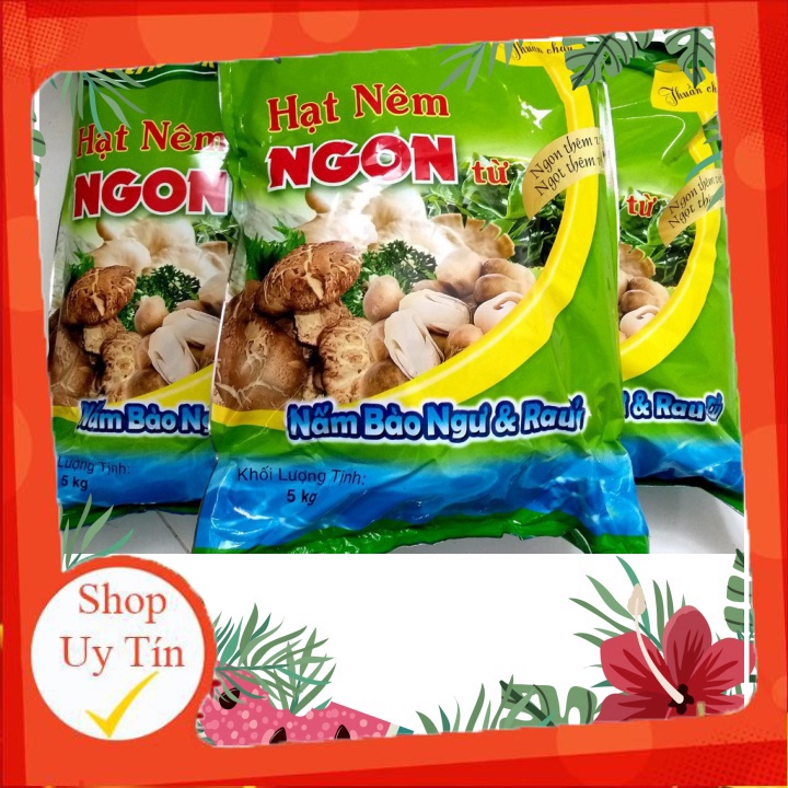HẠT NÊM CHAY NẤM HƯƠNG 5KG - NUTRICOOK hatnem