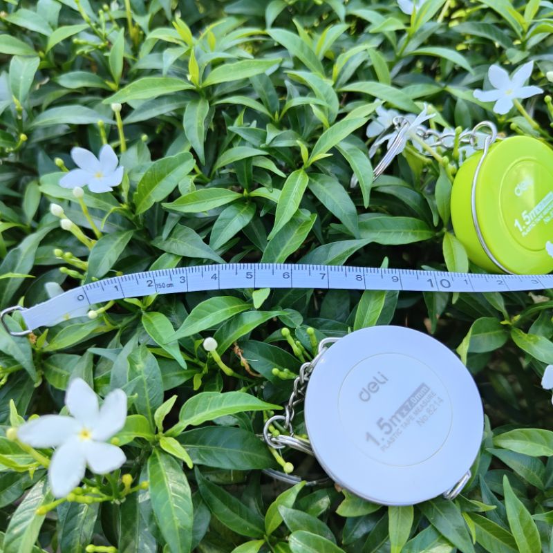 Thước dây deli 1.5m