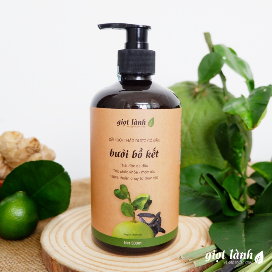 Dầu gội bồ kết - bưởi cô đặc, dầu gội thảo dược kích thích mọc tóc Giọt Lành 500ml dùng tại nhà