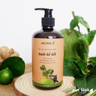 Dầu gội bồ kết - bưởi cô đặc, dầu gội thảo dược kích thích mọc tóc Giọt Lành 500ml dùng tại nhà