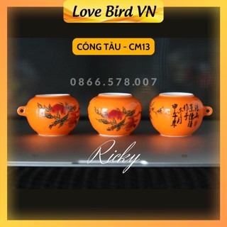 Cóng chào mào đẹp Ricky, cóng tàu tích đào tiên bộ 3 chiếc đã kèm tai cóng tàu