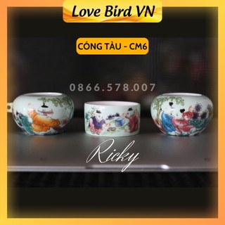 Cóng chào mào đẹp Ricky, cóng tàu tích tiểu nhi bộ 3 chiếc đã kèm tai cóng tàu