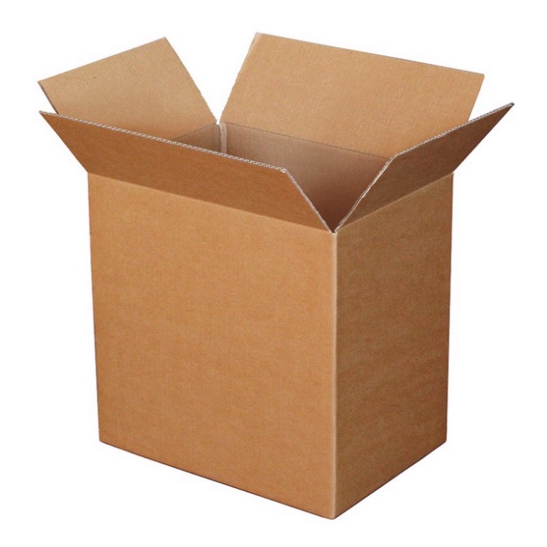 Hộp carton chăm sóc giày tránh móp méo.