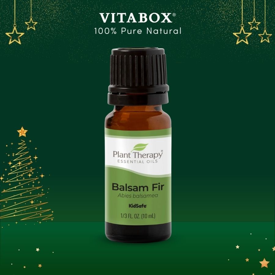 Plant Therapy - Tinh dầu Lãnh Sam (Balsam Fir) - Kidsafe essential oil