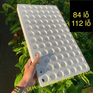 Khay xốp ươm hạt lỗ to - loại dày 84 lỗ/ 112 lỗ