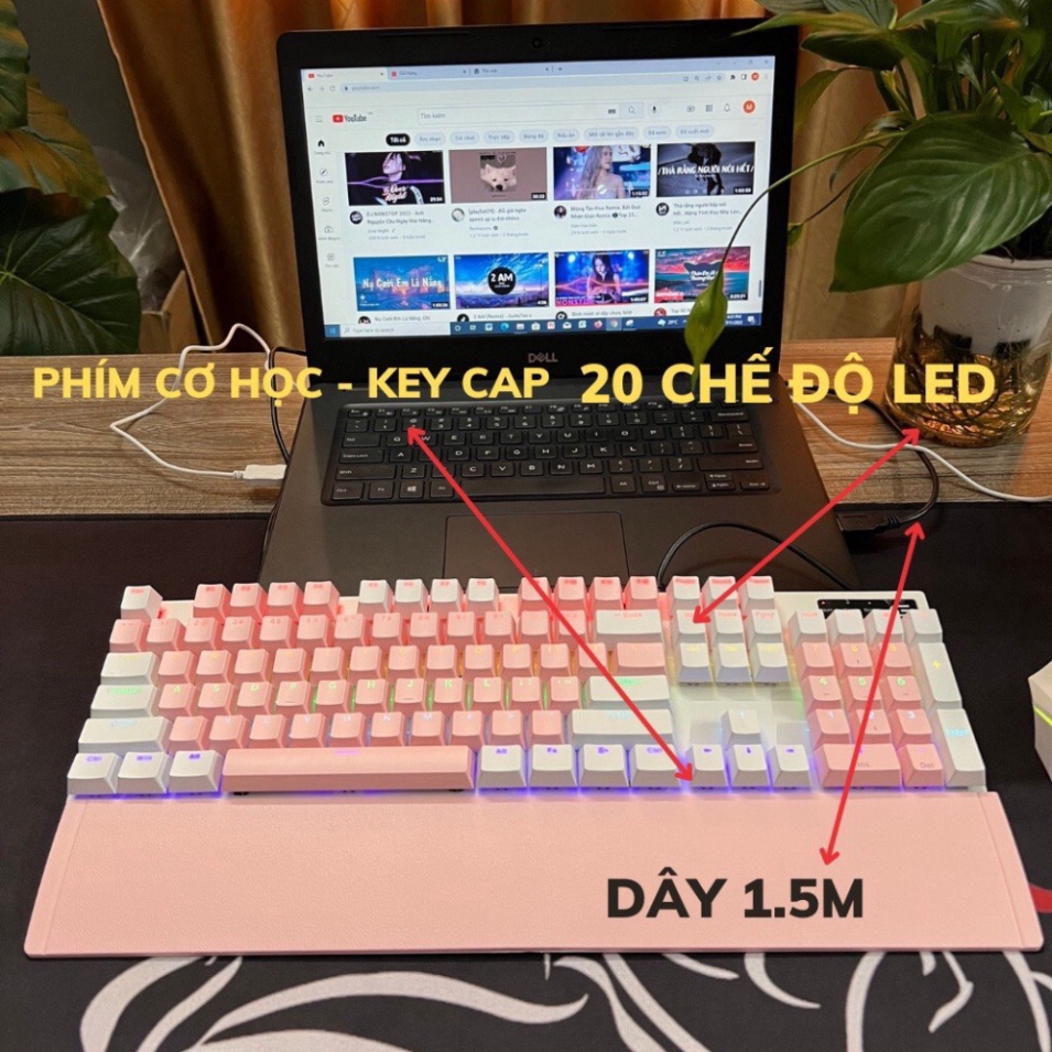 Bàn Phím Cơ Gaming SPARTAN 3218 LED RB Kèm Kê Tay Full Size Blue Switch tích tụ 20 cơ chế màu phím c