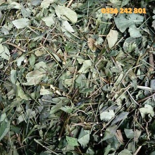[Chọn Lọc] Trà Vằng Lợi Sữa Sau Sinh.