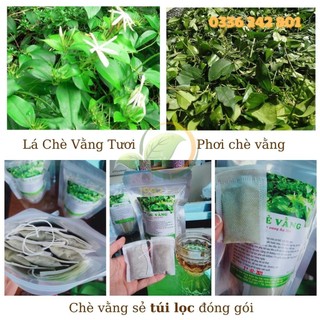 Chè vằng sẻ túi lọc 1992 organic hộp nhỏ 30 gói lọc lợi sữa giảm cân