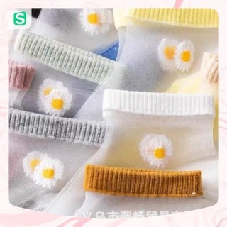 Tất Vớ Ren Hoa Cúc Sermala Kháng Khuẩn Nhiều Màu Hàng Loại 1