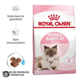 Hạt royal Canin mother babycat 4kg
