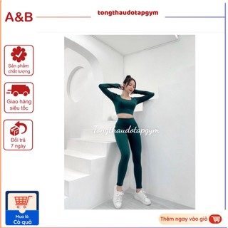 Set bộ tay dài nữ gym, thể thao, yoga