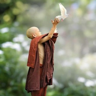 Sách - Tâm Từ ( Tái Bản ) - First News
