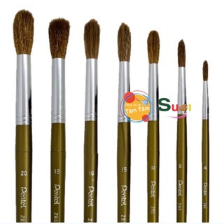 CỌ VẼ MÀU NƯỚC PENTEL