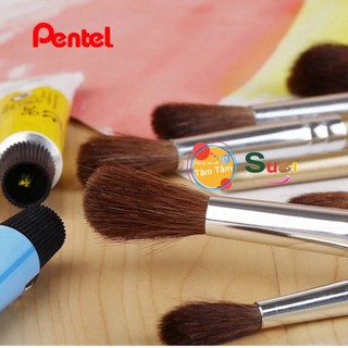 CỌ VẼ MÀU NƯỚC PENTEL