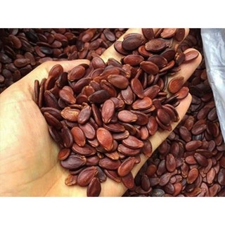 hạt dưa ngày tết