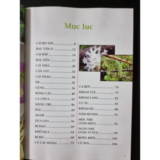 Sách - Rau Củ Chữa Bệnh - First News