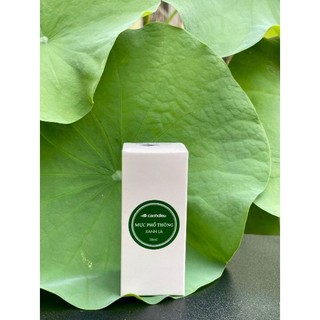 Mực Cánh Diều phổ thông 18ml - Bút mực luyện chữ Thu Hương
