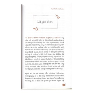 Sách - Thực Hành Chánh Niệm - VLB