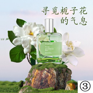 Nước Hoa Tiktok Hương Thơm Nhẹ Nhàng Lâu Phai Hương Trà Xanh Cho Nữ Sinh Việt Nam Bán Chạy