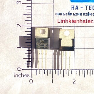 Linh kiện chuyên dụng diode xung cathode chung mbr20200 mbr20200ct 20a 200v to-220 mới chính hãng