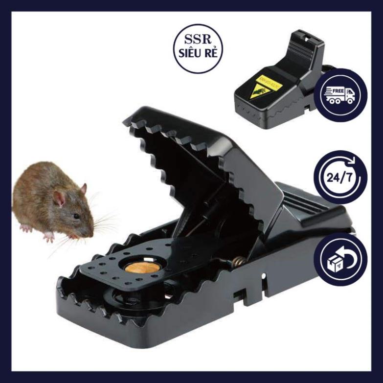 Dụng cụ Bẫy chuột thông minh siêu tiết kiệm và hiểu quả