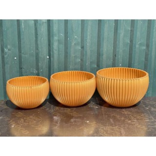 (ẢNH THẬT) Chậu Gân sọc để bàn màu trắng trồng hoa Tết, hàng đẹp và sẵn kho ạ