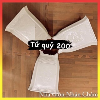 Chậu trồng cây tứ quý chậu vuông 12$