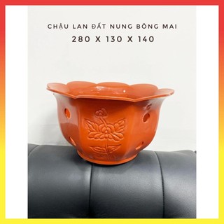 Chậu lan bông mai giả đất nung 13$