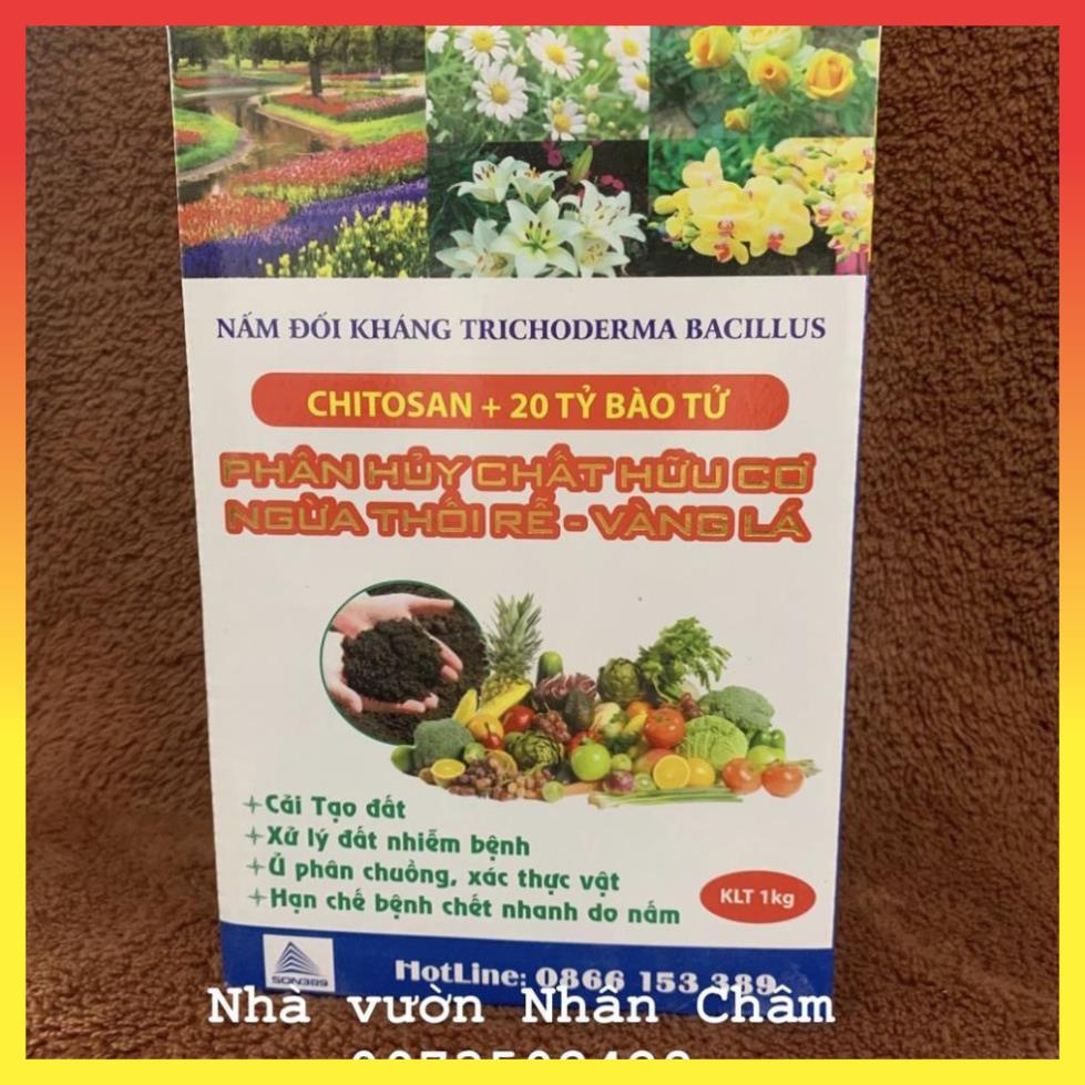Chế phẩm nấm đối kháng Trichoderma Bacillus Chitosan phân hủy chất hữu cơ 1kg