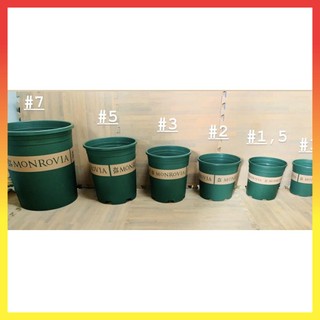 Chậu nhựa trồng cây cao cấp Monrovia Trung Quốc 7GL 23$