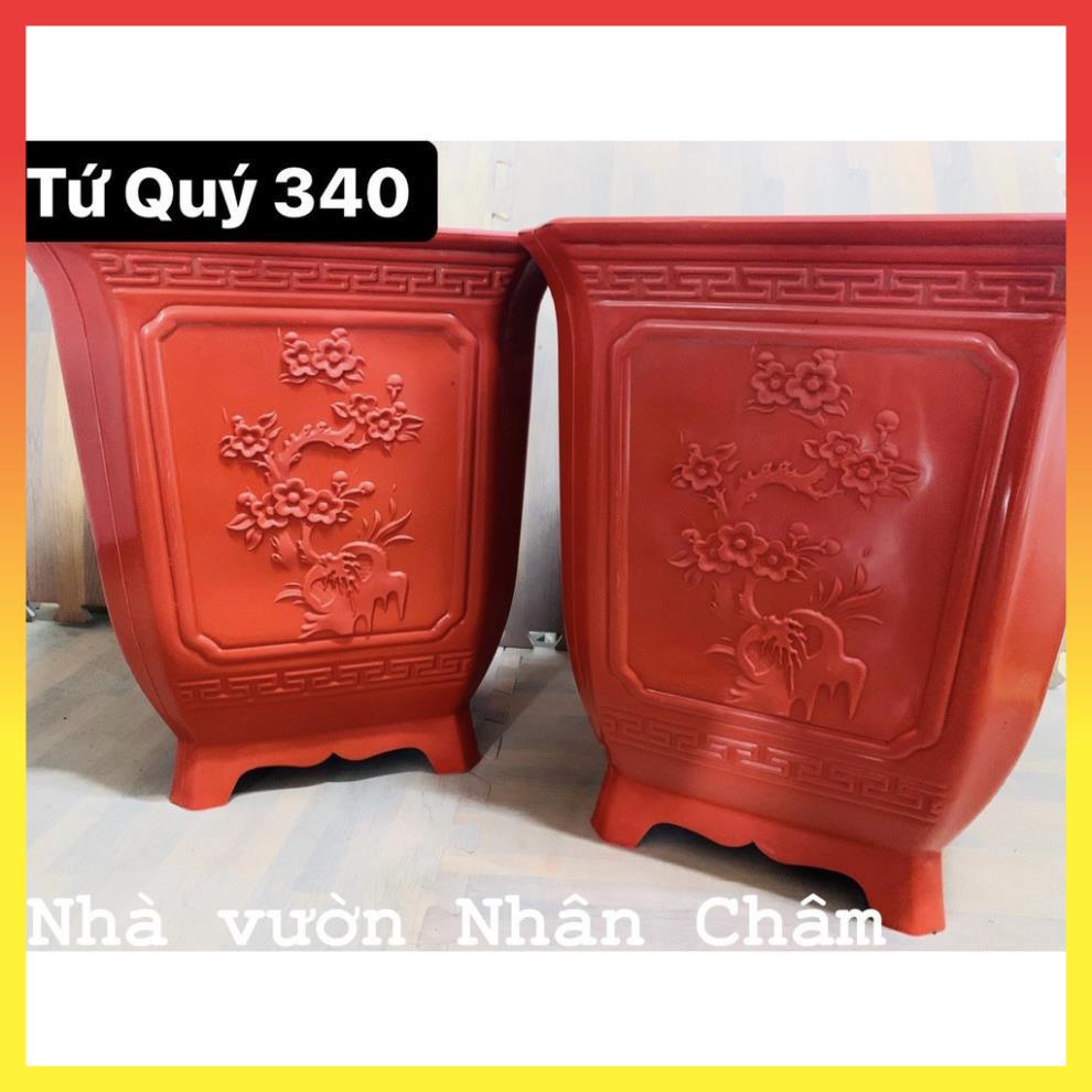 Chậu vuông tứ quý 340 31$