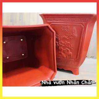 Chậu vuông tứ quý 340 31$