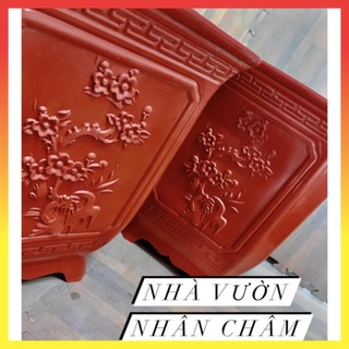 Chậu vuông tứ quý 340 31$