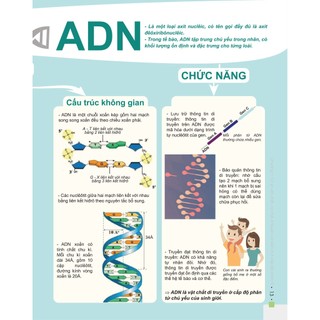 Sách - Đột phá 8+ môn Sinh học (tái bản 2020)