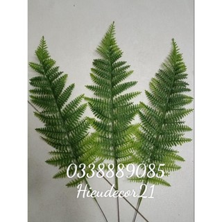 Cành dương xỉ xanh, dương sỉ giả trang trí, decor siêu đẹp