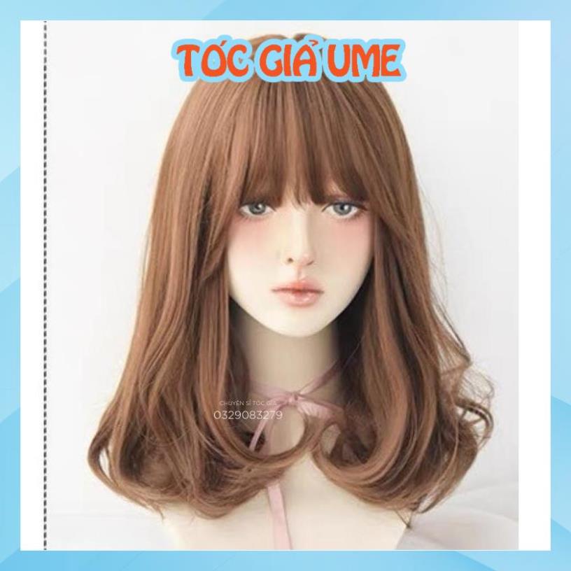 Nguyên đầu xoăn lửng đuôi 8112