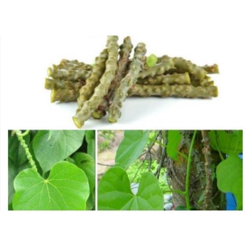 Cây thần thông khô 500gr ( dây cóc, dây kí ninh)