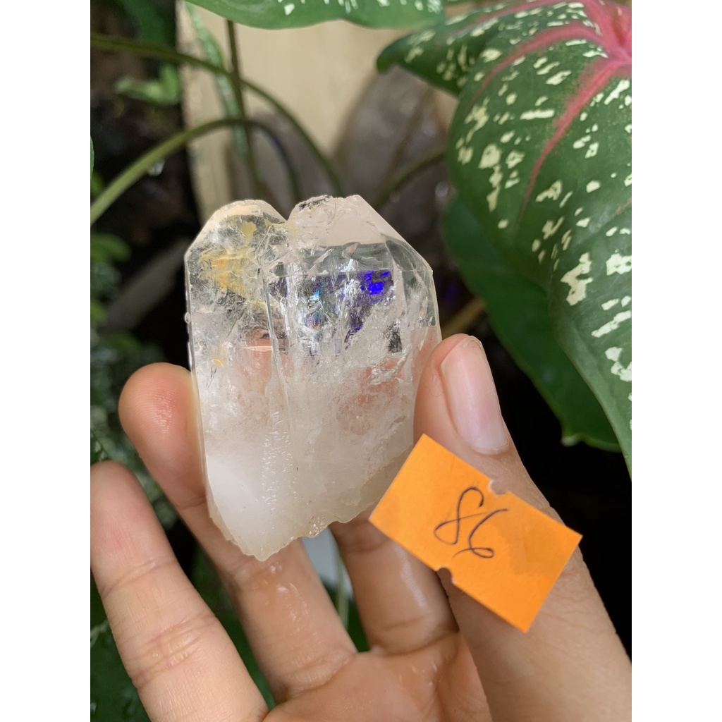 Đá stone tự nhiên Natural  LEMURIAN phale NATURAL trong suốt Citrine  thanh tẩy chakra   Clear Quartz  86