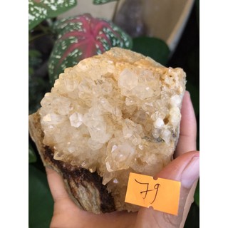 Đá stone tự nhiên Natural Citrine phale NATURAL trong suốt Citrine thanh tẩy chakra Clear Quartz 79