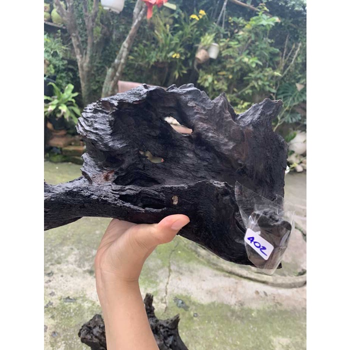 LŨA NGHỆ THUẬT 402
