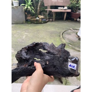 LŨA NGHỆ THUẬT 402