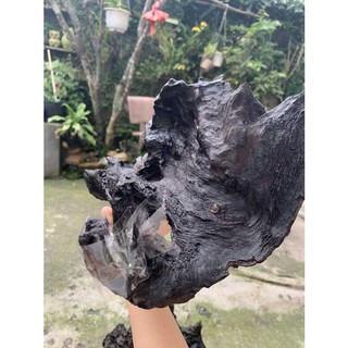 LŨA NGHỆ THUẬT 402