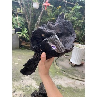 LŨA NGHỆ THUẬT 402