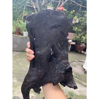 LŨA NGHỆ THUẬT 402