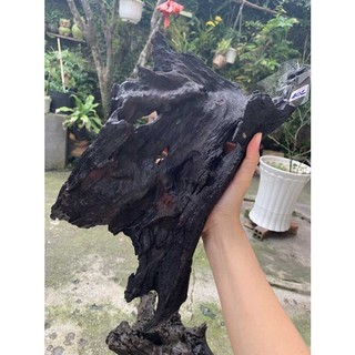 LŨA NGHỆ THUẬT 402
