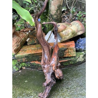 Gỗ lũa nghệ thuật 408