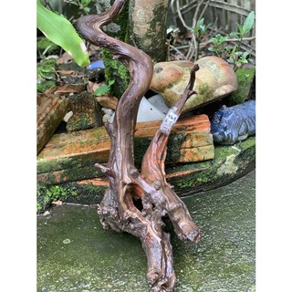 GỖ LŨA NGHỆ THUẬT 408