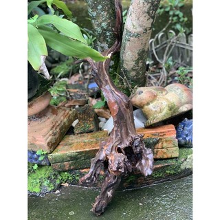 GỖ LŨA NGHỆ THUẬT 408