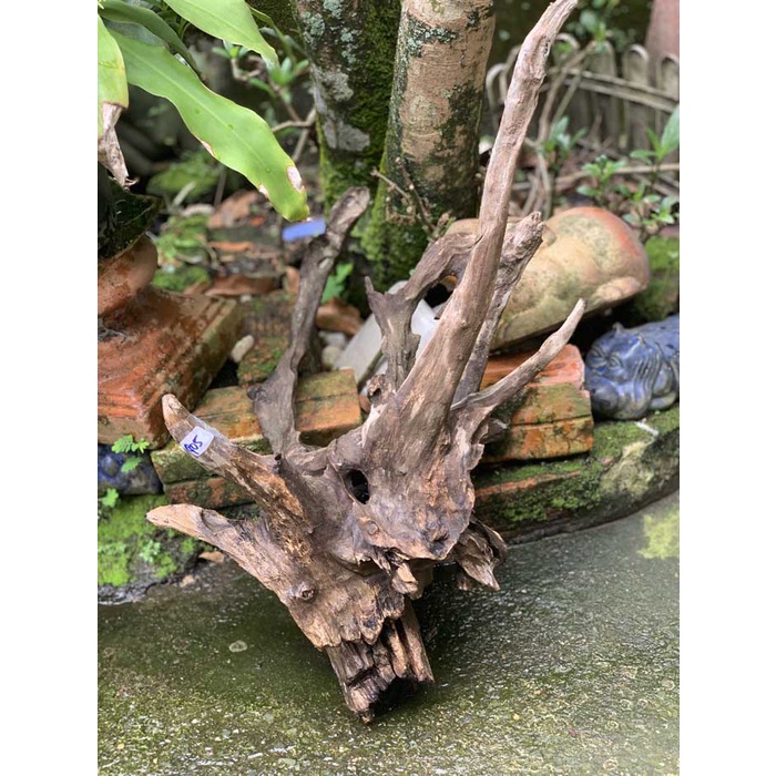 GỖ LŨA NGHỆ THUẬT 405