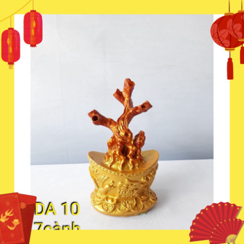 Sale Gốc kim tiền 7 nhánh, gốc thỏi vàng,làm hoa chưng tết, gốc kim tiền 7 nhánh,mini bán chạy